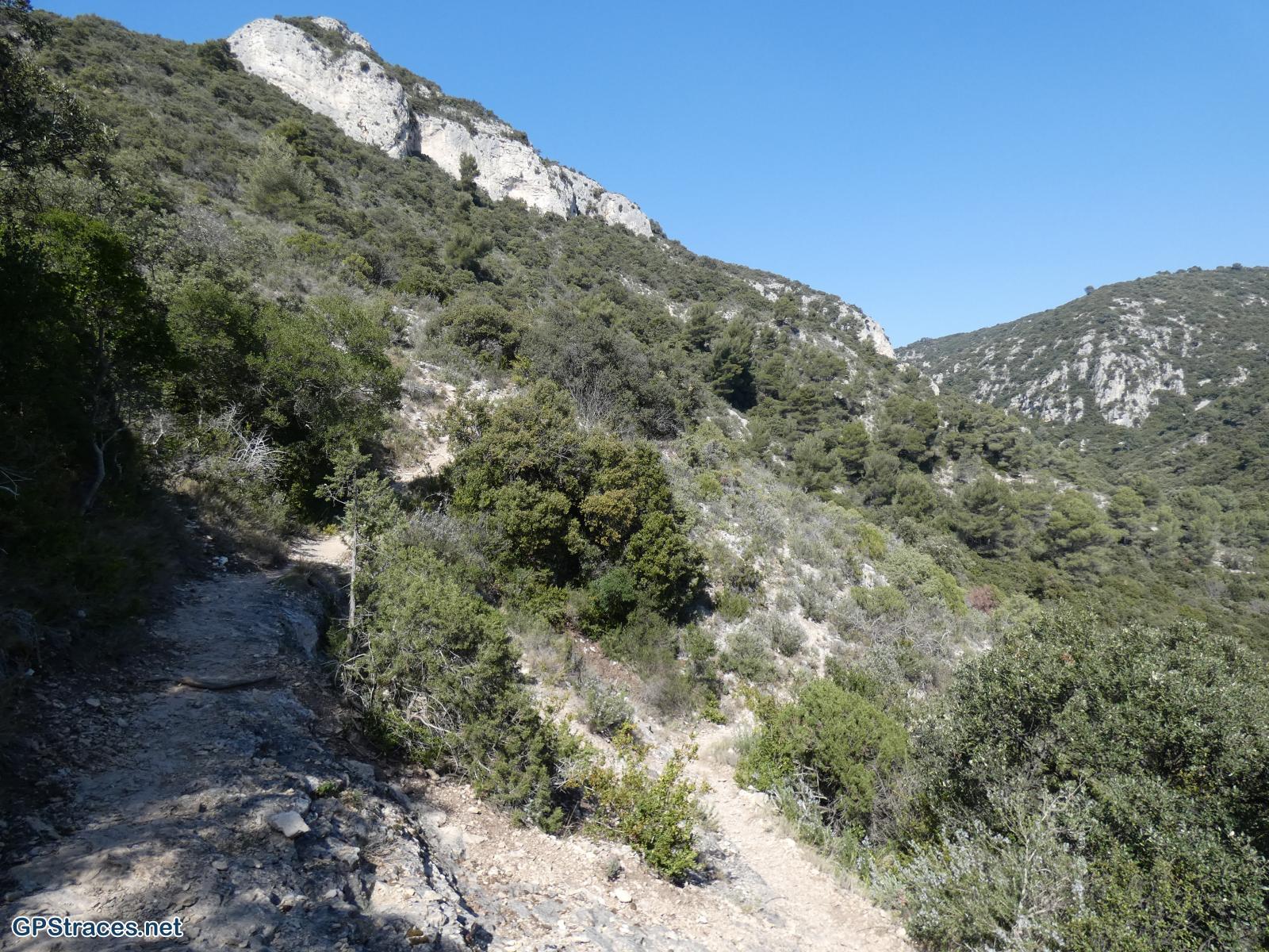 Vaucluse-Lubéron - Tour Philippe - Le Portalas - Forêt de cèdres–9