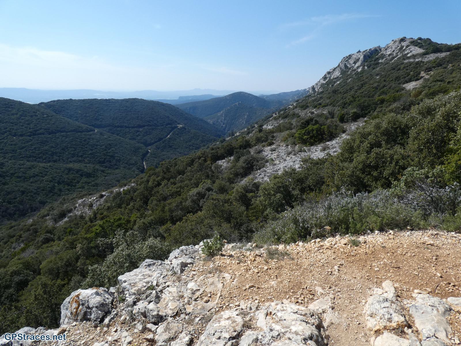 Vaucluse-Lubéron - Tour Philippe - Le Portalas - Forêt de cèdres–11