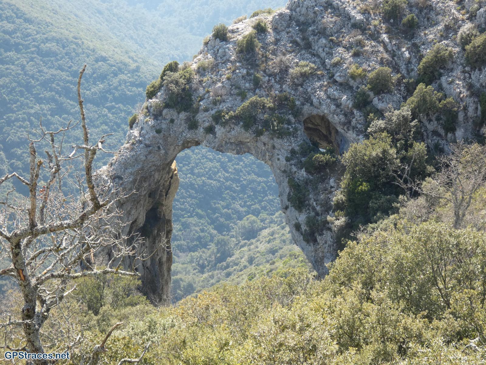 Vaucluse-Lubéron - Tour Philippe - Le Portalas - Forêt de cèdres–15