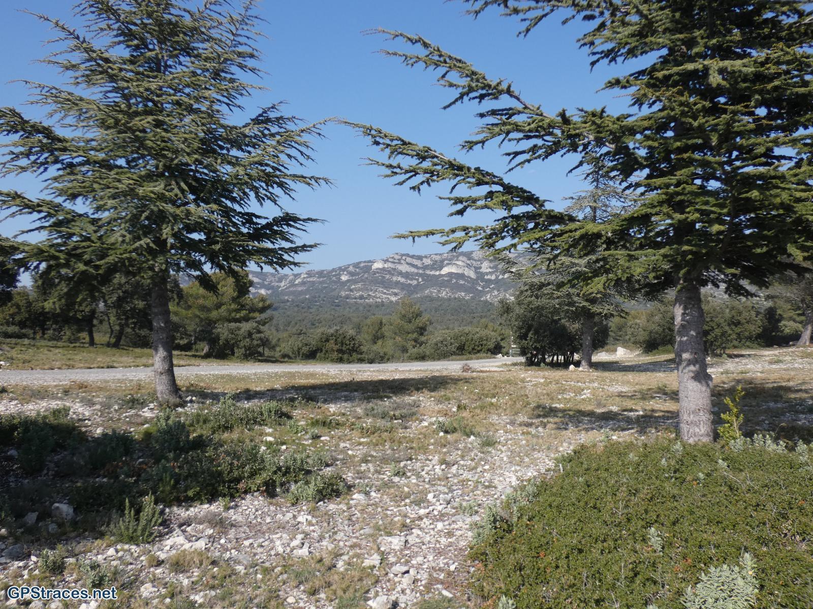 Vaucluse-Lubéron - Le Trou du Rat–7
