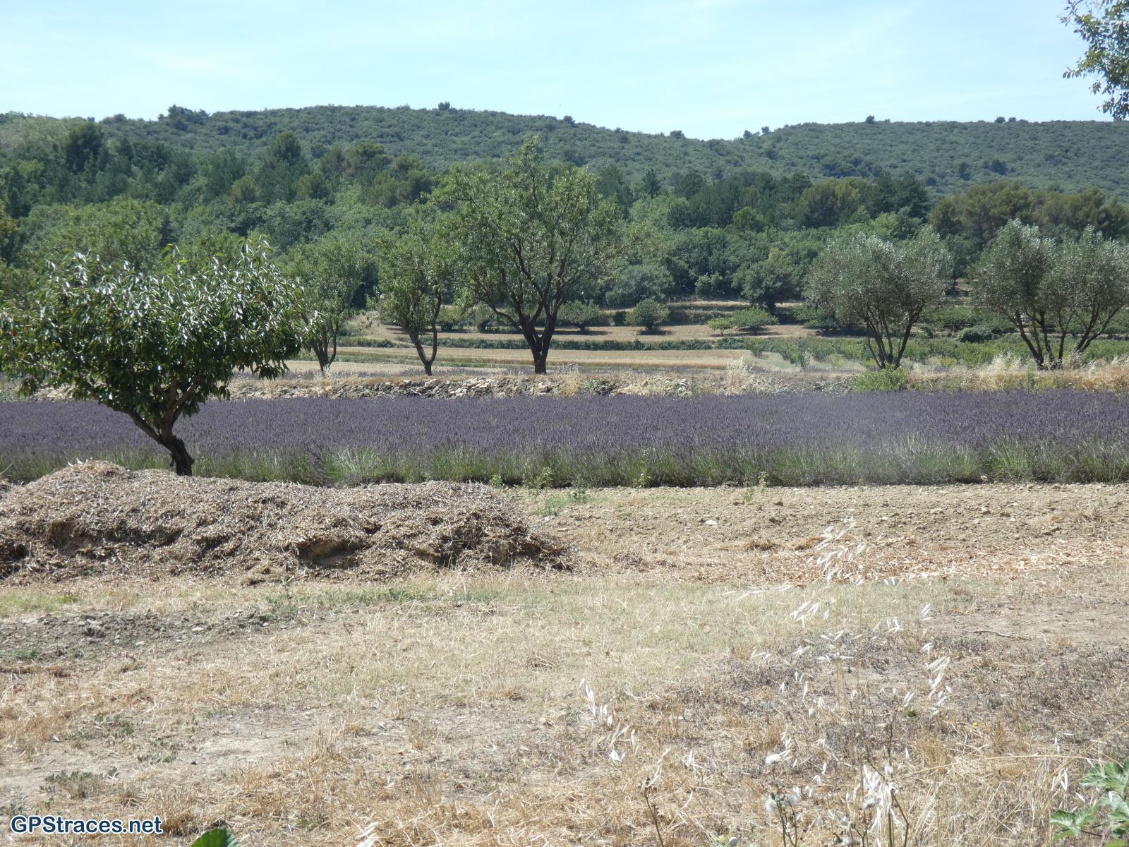 Vaucluse-De Malaucène au Col de la Chaîne–3