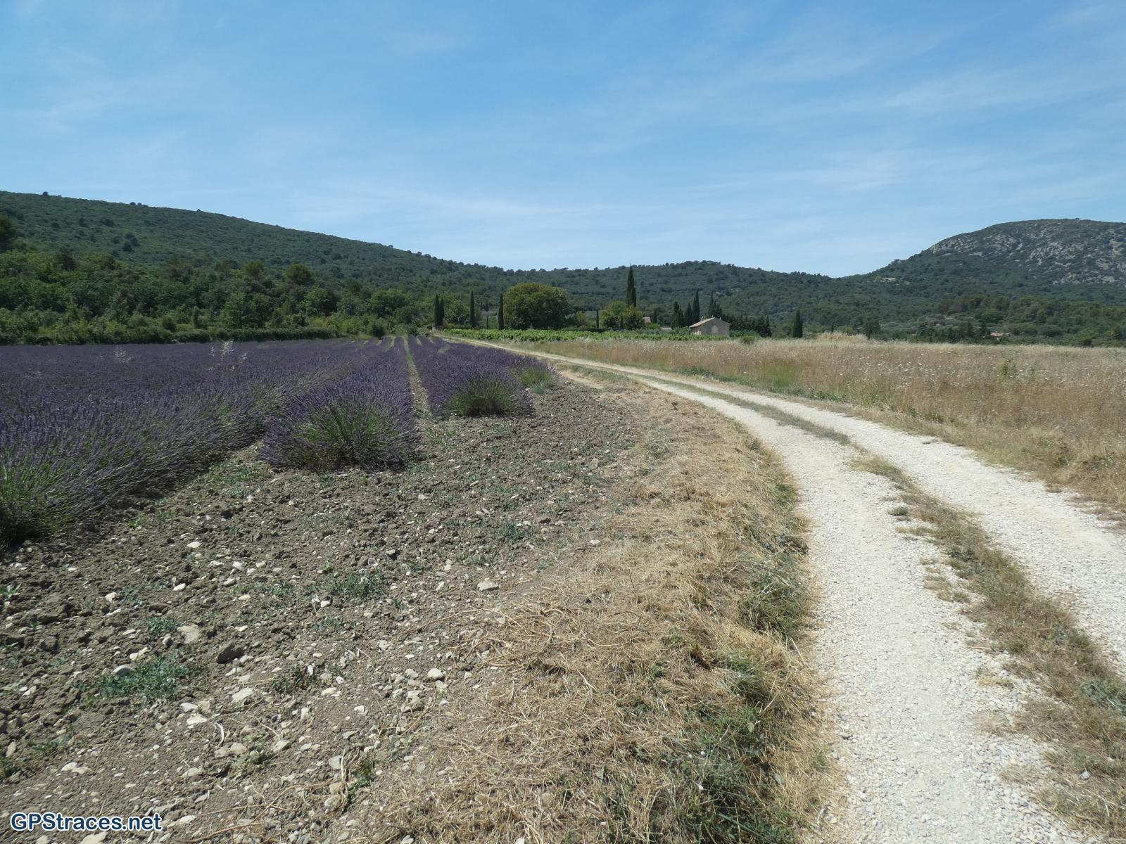Vaucluse-De Malaucène au Col de la Chaîne–5