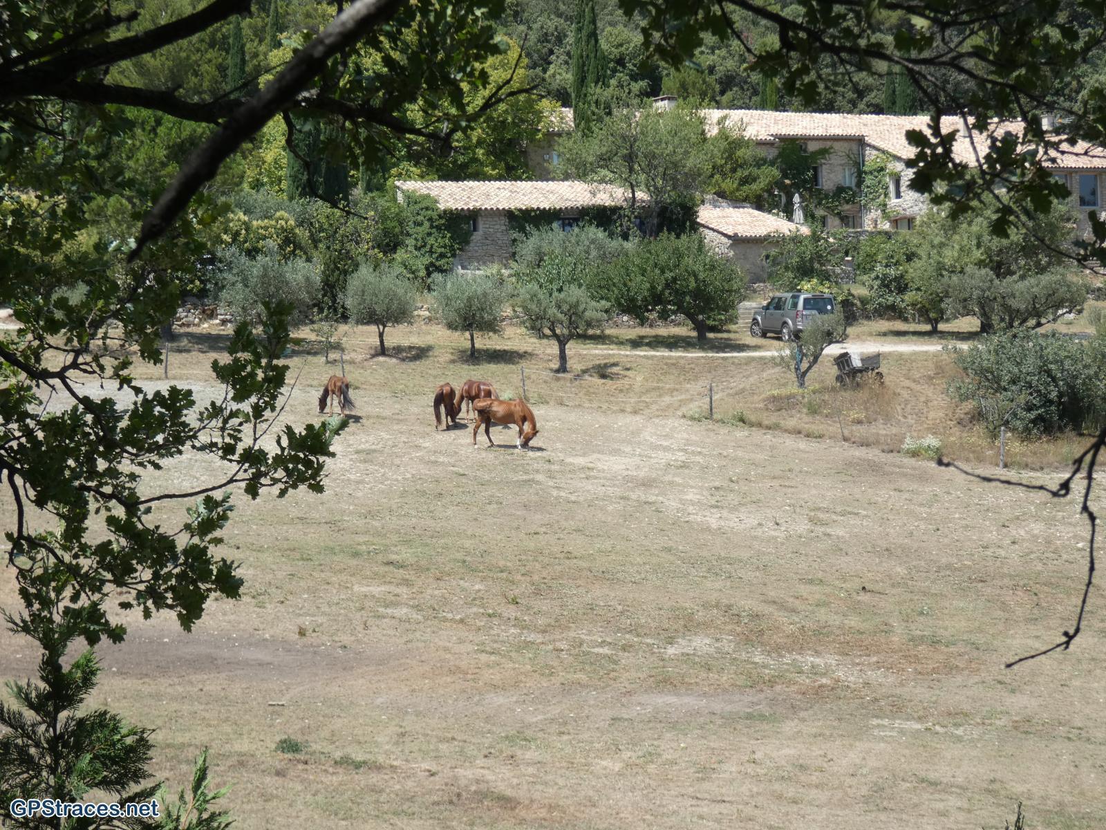 Vaucluse-De Malaucène au Col de la Chaîne–8
