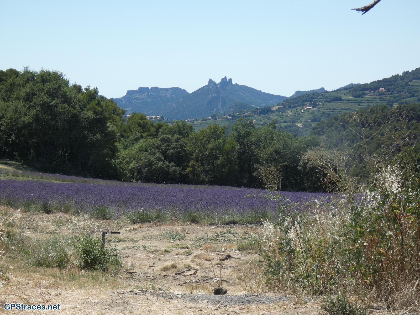 Vaucluse-De Malaucène au Col de la Chaîne–9