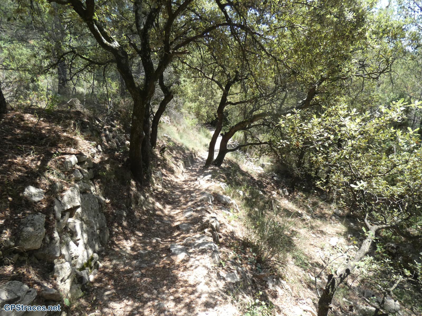 Vaucluse-De Malaucène au Col de la Chaîne–10