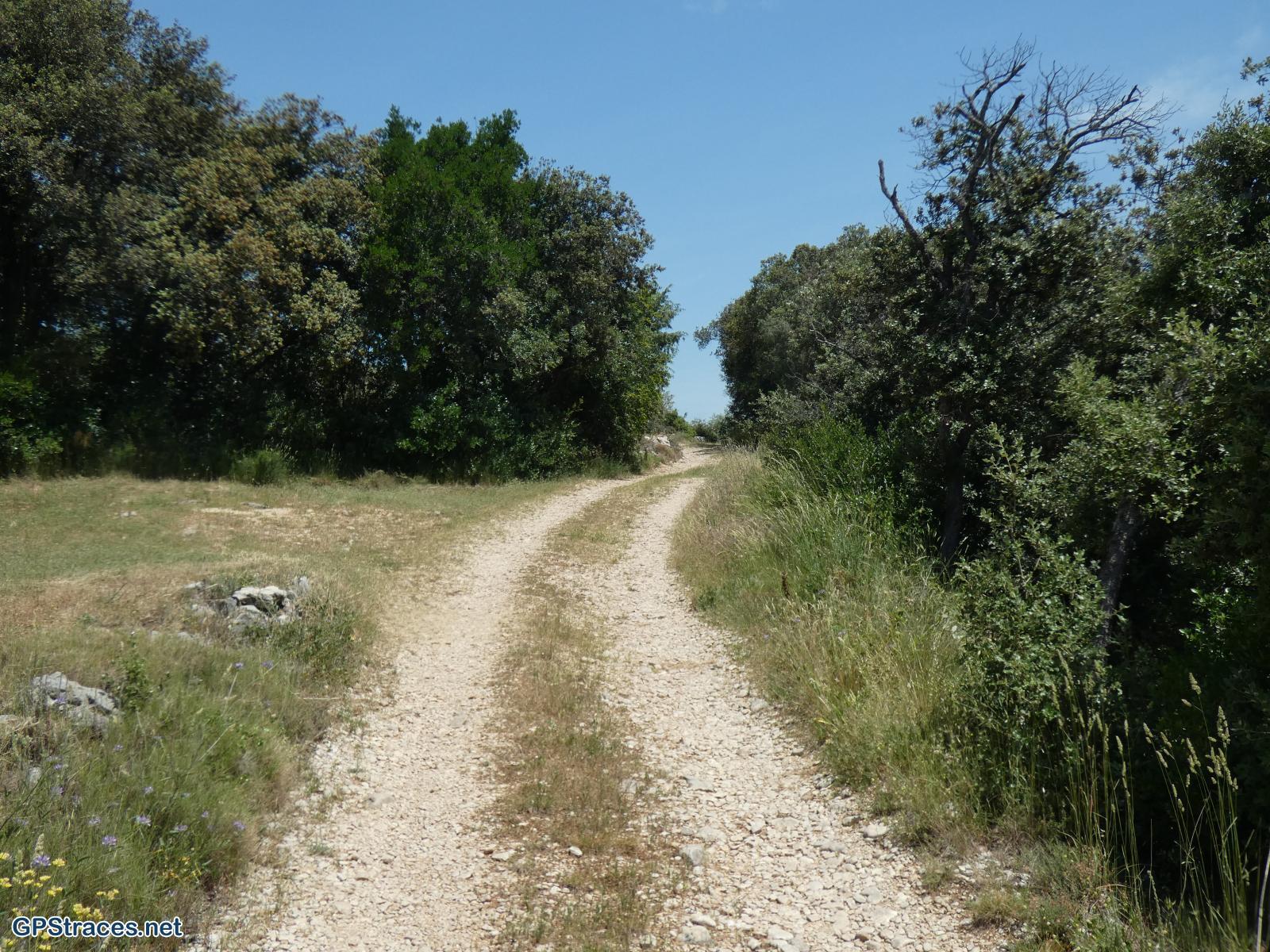 Vaucluse-De Méthamis au vallon de Malaval par le sommet de Gacholle–2