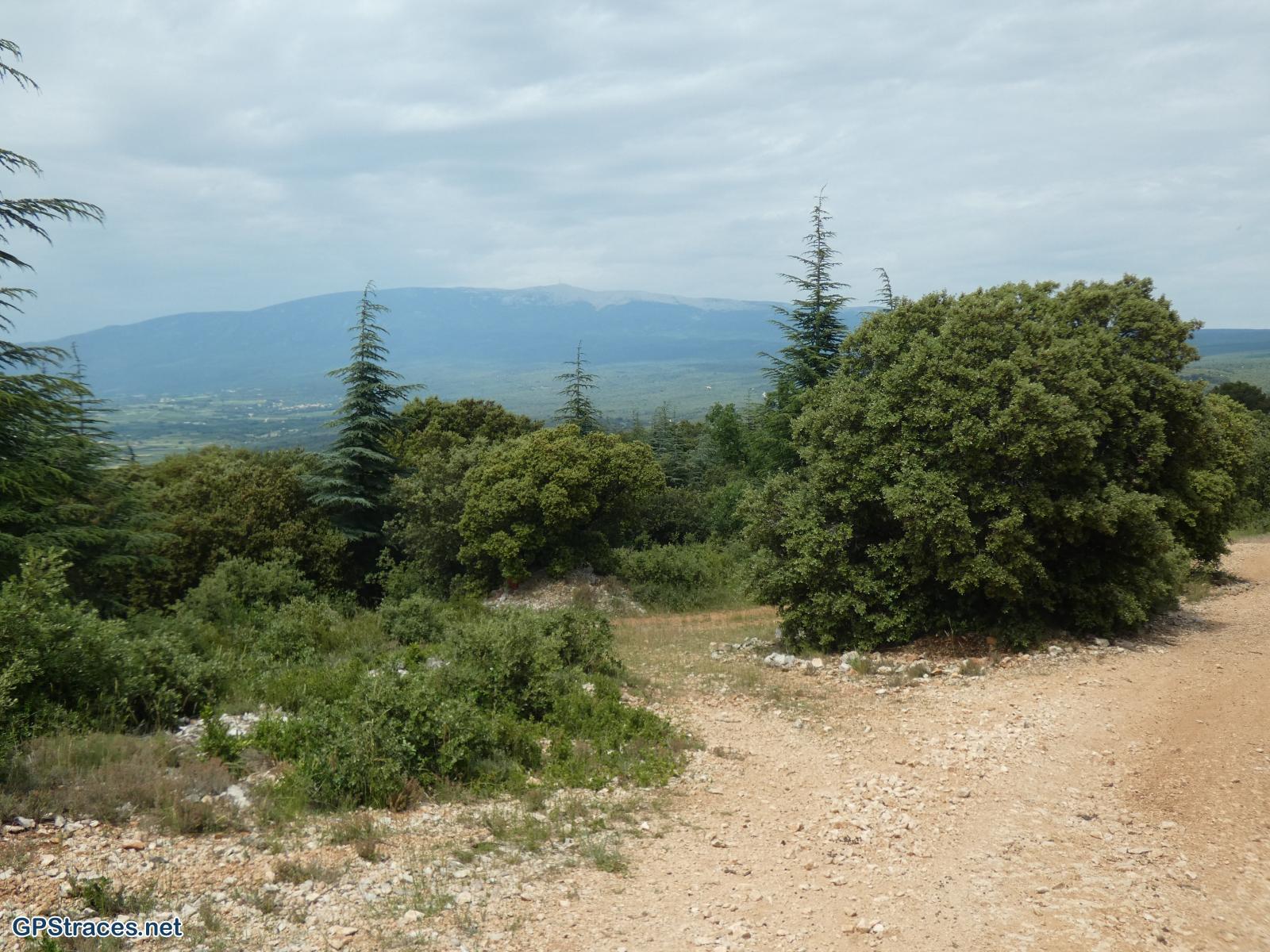 Vaucluse-De Méthamis au vallon de Malaval par le sommet de Gacholle–9