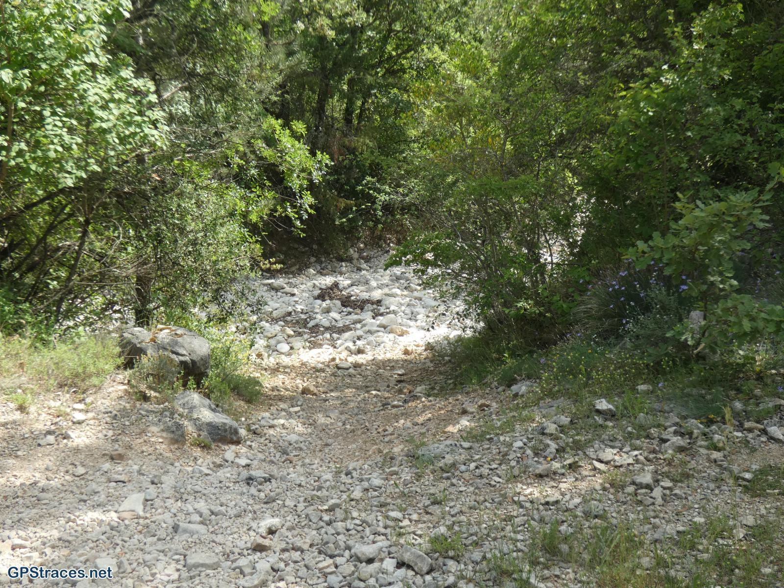 Vaucluse-De Méthamis au vallon de Malaval par le sommet de Gacholle–11