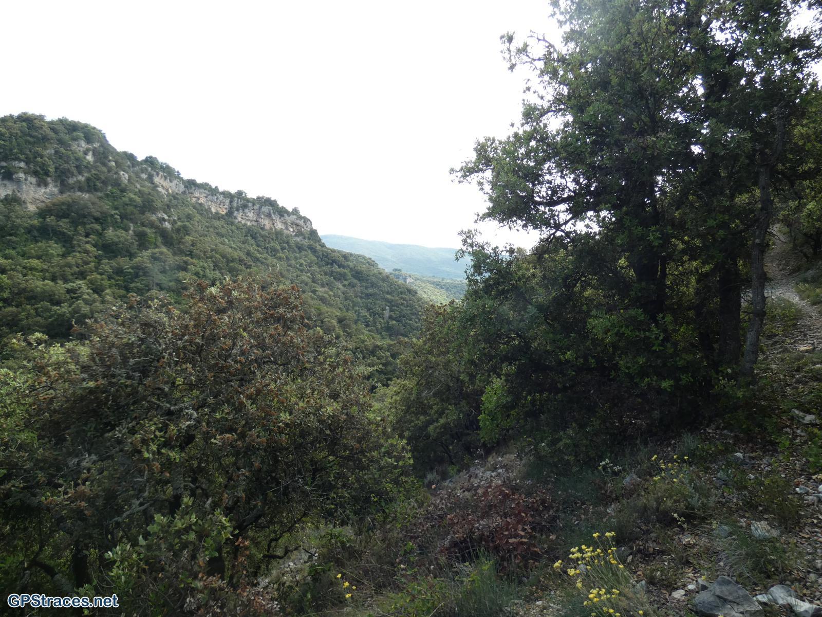 Vaucluse-De Méthamis au vallon de Malaval par le sommet de Gacholle–12