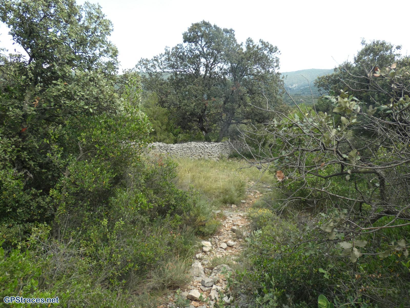 Vaucluse-De Méthamis au vallon de Malaval par le sommet de Gacholle–16