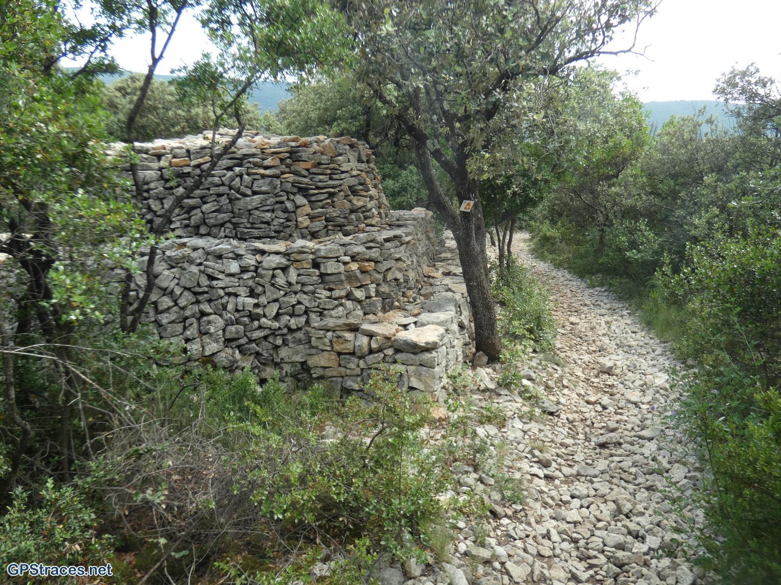 Vaucluse-De Méthamis au vallon de Malaval par le sommet de Gacholle–17