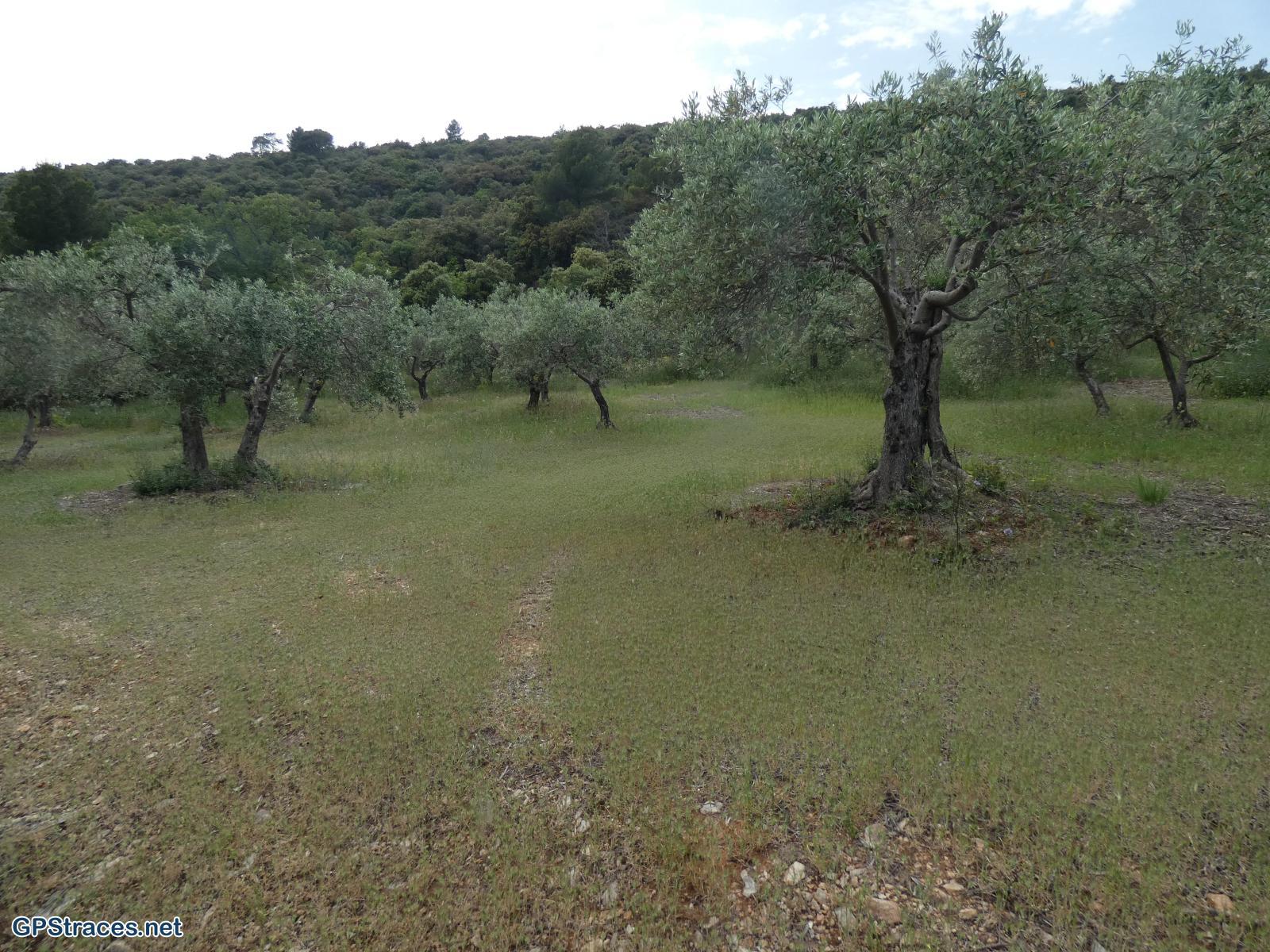 Vaucluse-De Méthamis au vallon de Malaval par le sommet de Gacholle–20