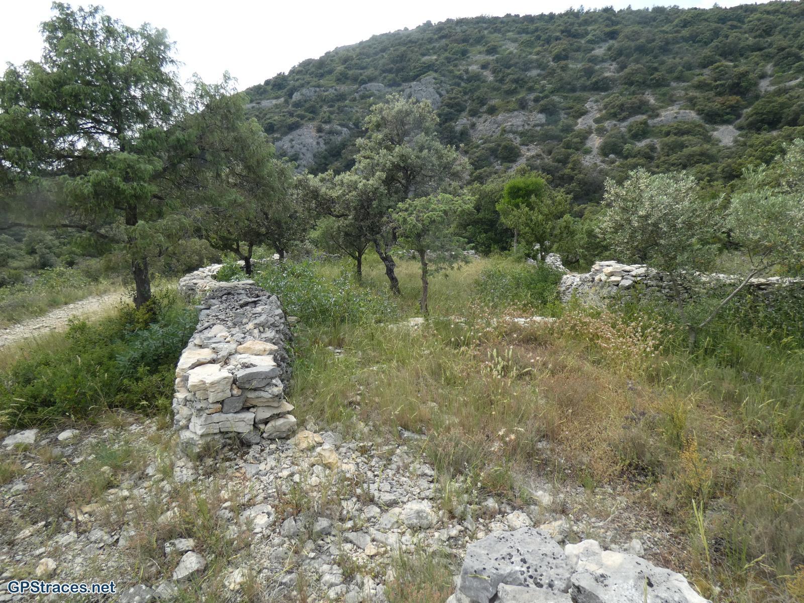 Vaucluse-De Méthamis au vallon de Malaval par le sommet de Gacholle–21