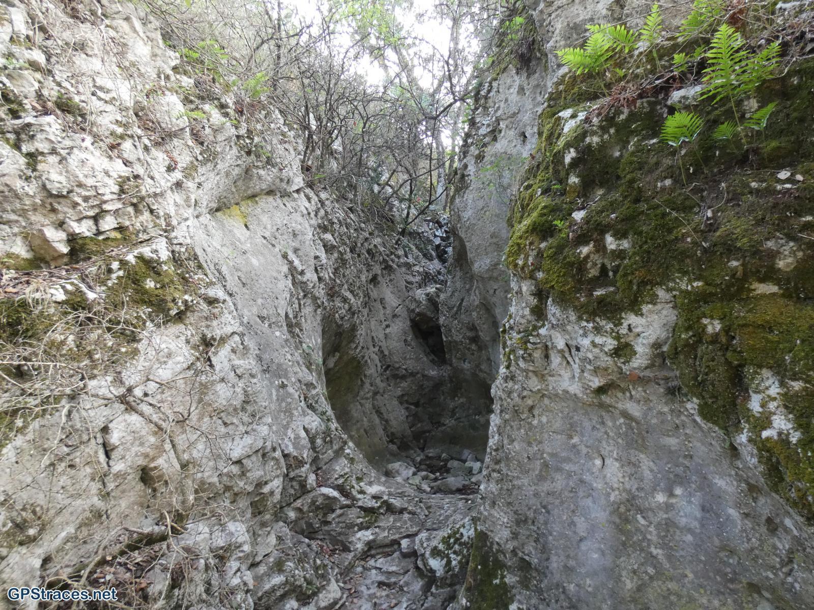 Vaucluse-Méthamis - Blauvac par le sommet de Gacholle–2