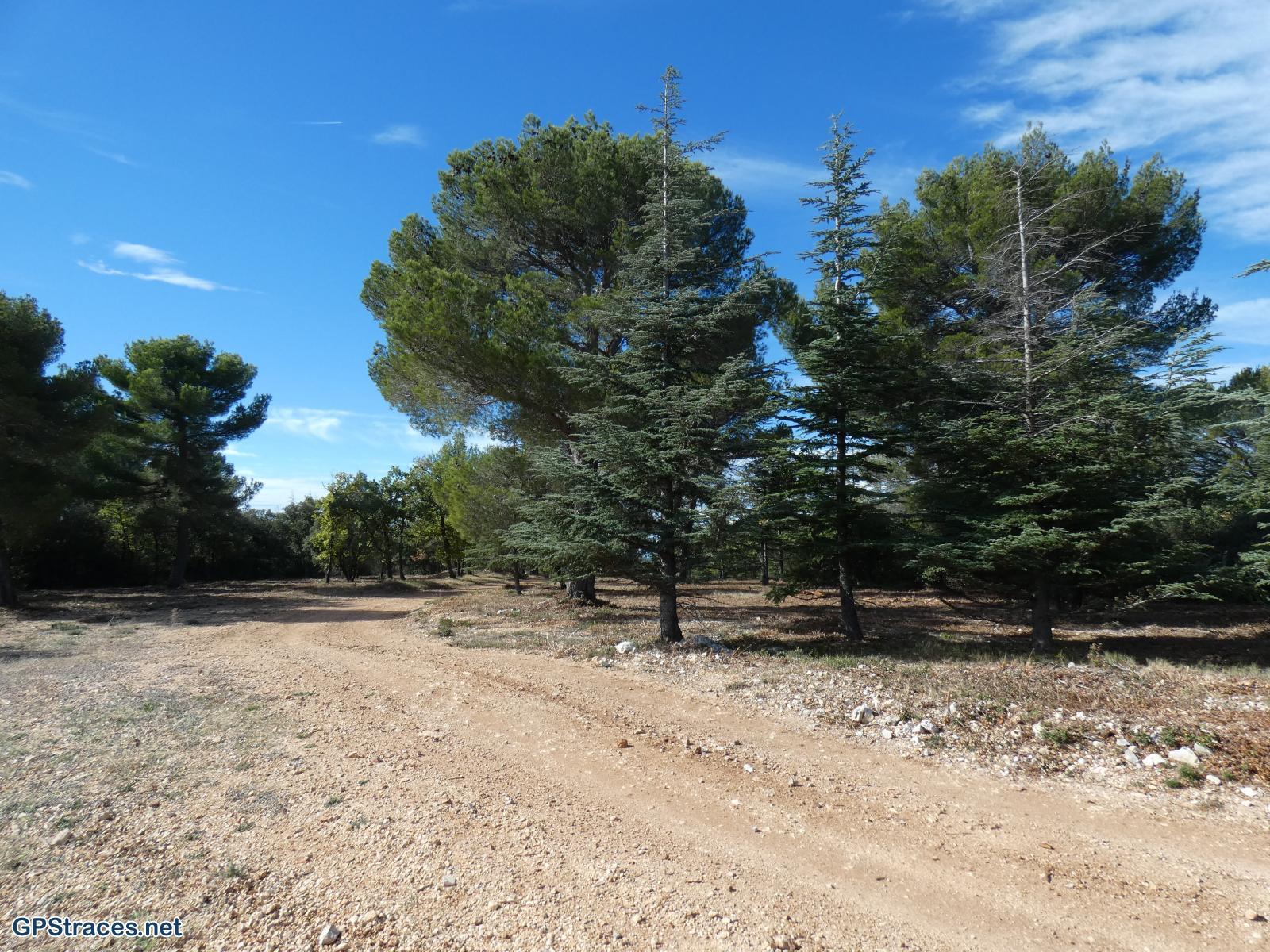 Aux abords du sommet de Gacholle