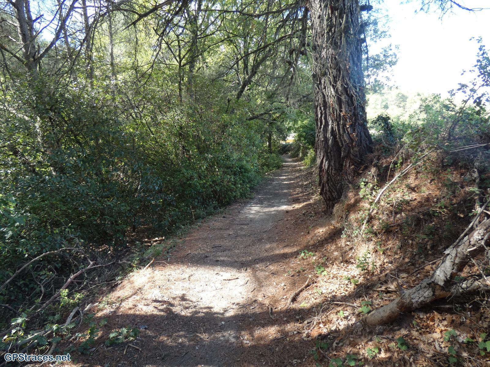 La montée vers Blauvac