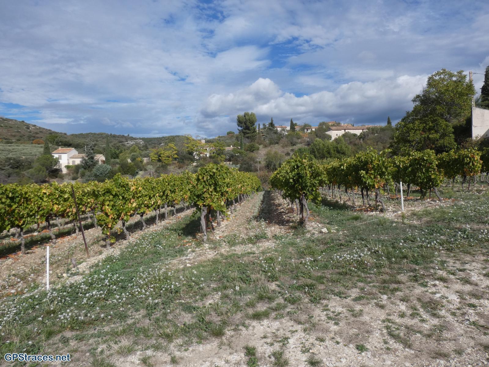 Vaucluse-Méthamis - Blauvac par le sommet de Gacholle–10