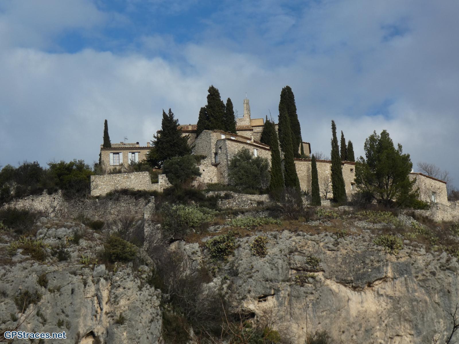 Métahamis