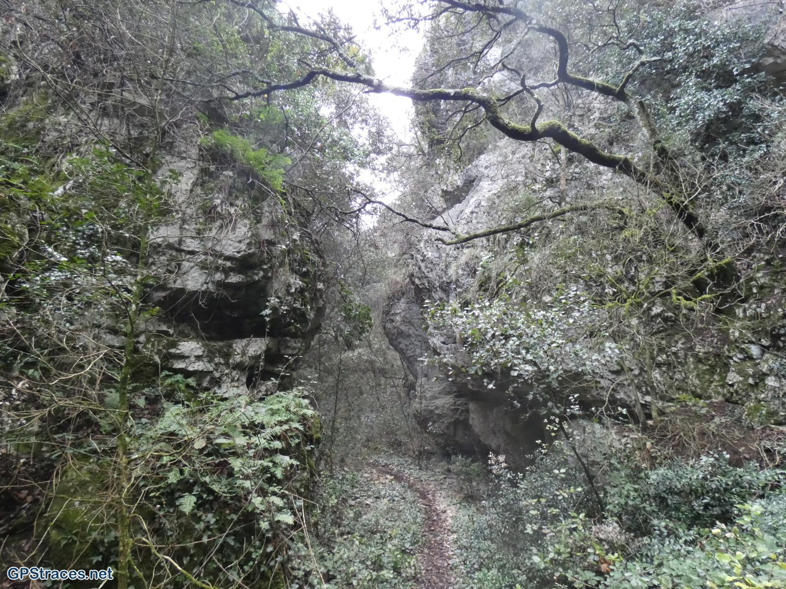 Le confluent de la combe d'Embarbe avec la Nesque