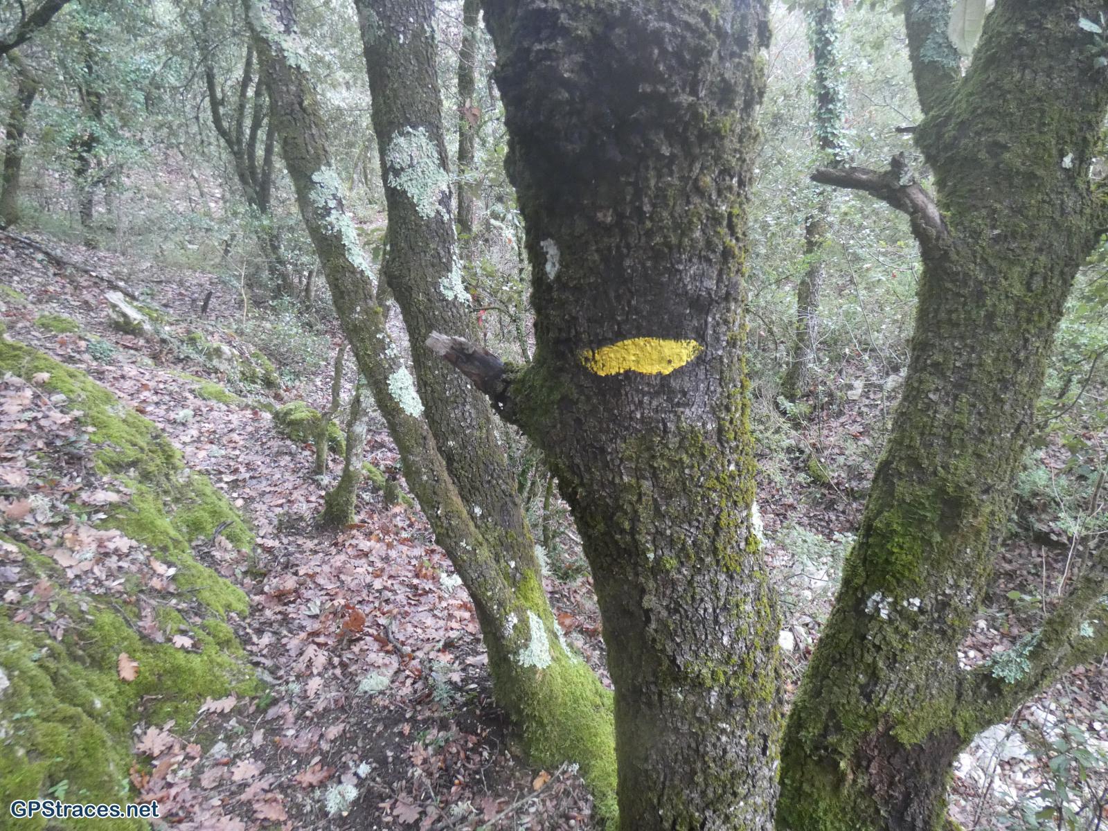 Une balise jaune...