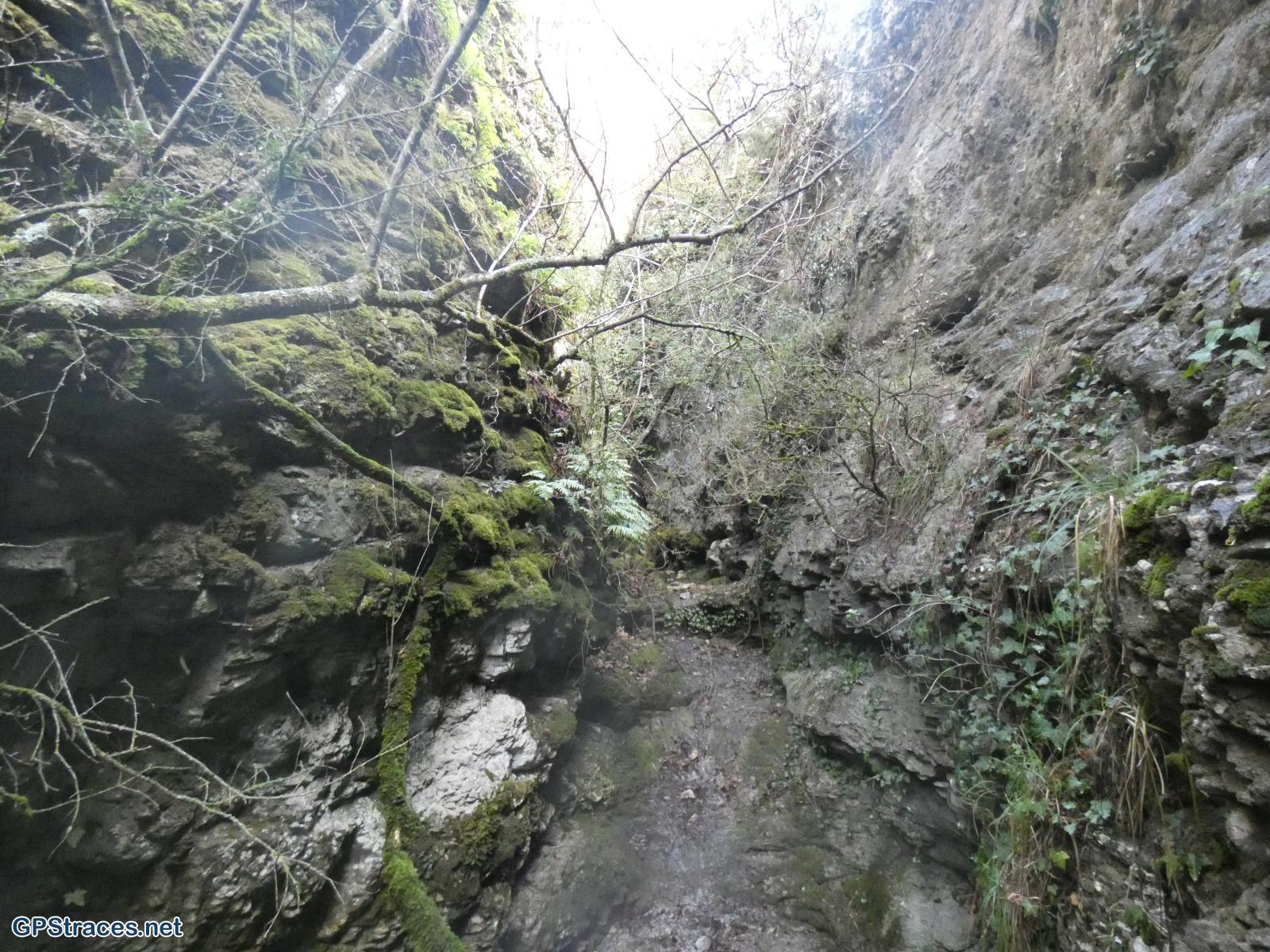 Vaucluse-Méthamis - Combe d'Embarbe - Chapelle Ste Foi–15
