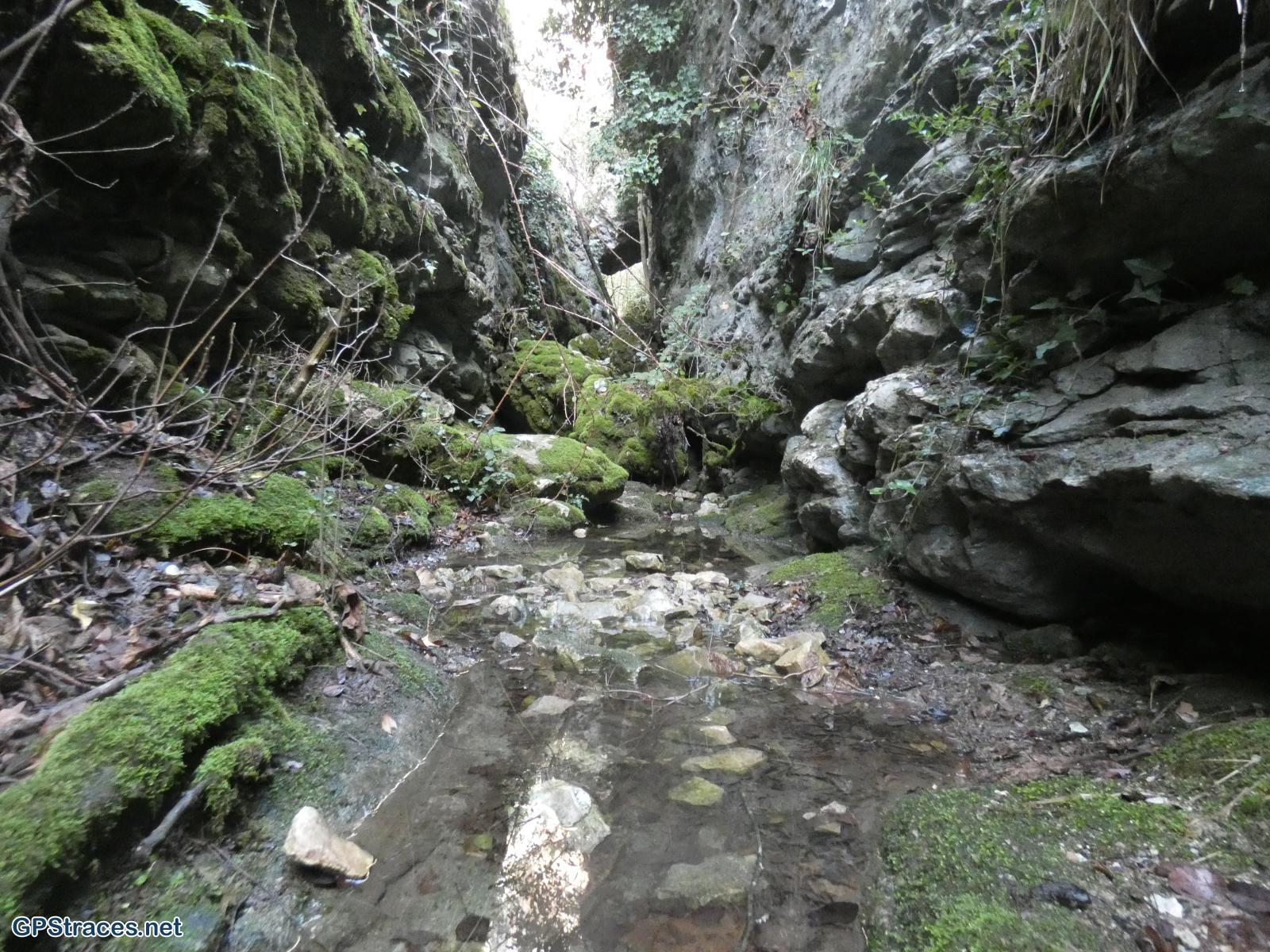 La gorge de Chaulon se resserre