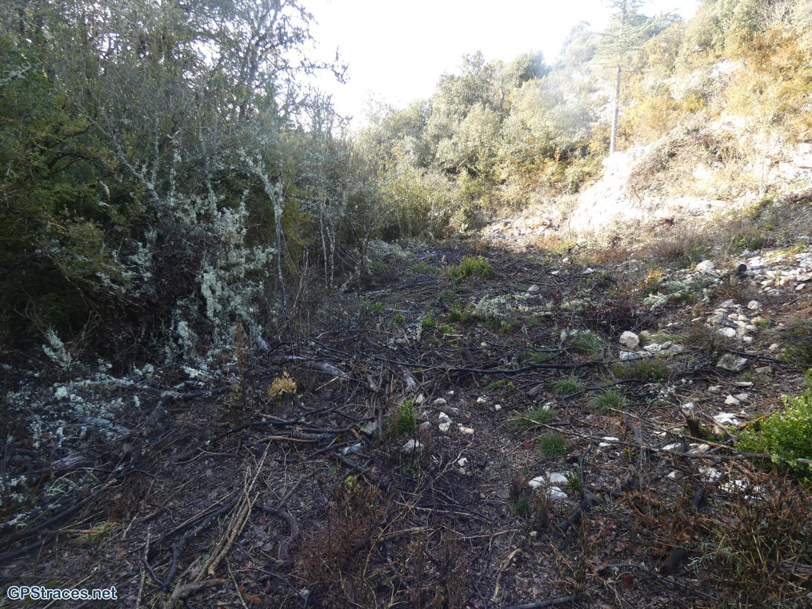 Le départ de la combe de Chaulon