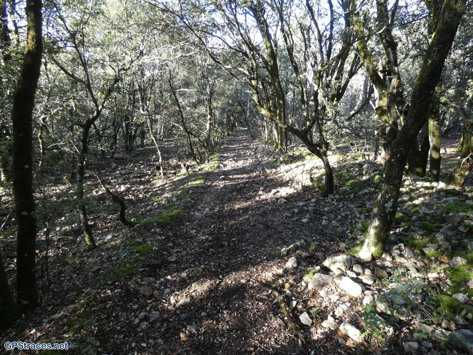 Vaucluse-Méthamis - Combe d'Embarbe - Chapelle Ste Foi–28