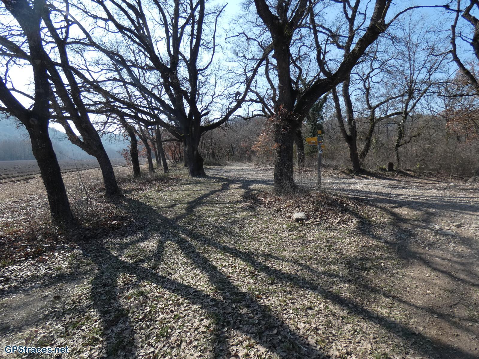 Vaucluse-Méthamis - Crespion–6