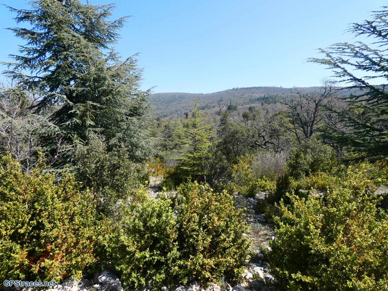 Vaucluse-Méthamis - Gorges de la Nesque - Le Grand Adrenier–8