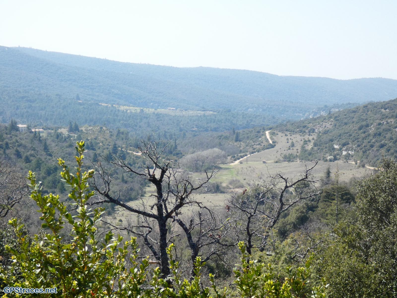 Vaucluse-Méthamis - Gorges de la Nesque - Le Grand Adrenier–9