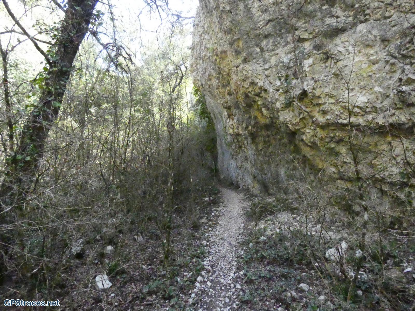 Dans la combe d'Embarbe