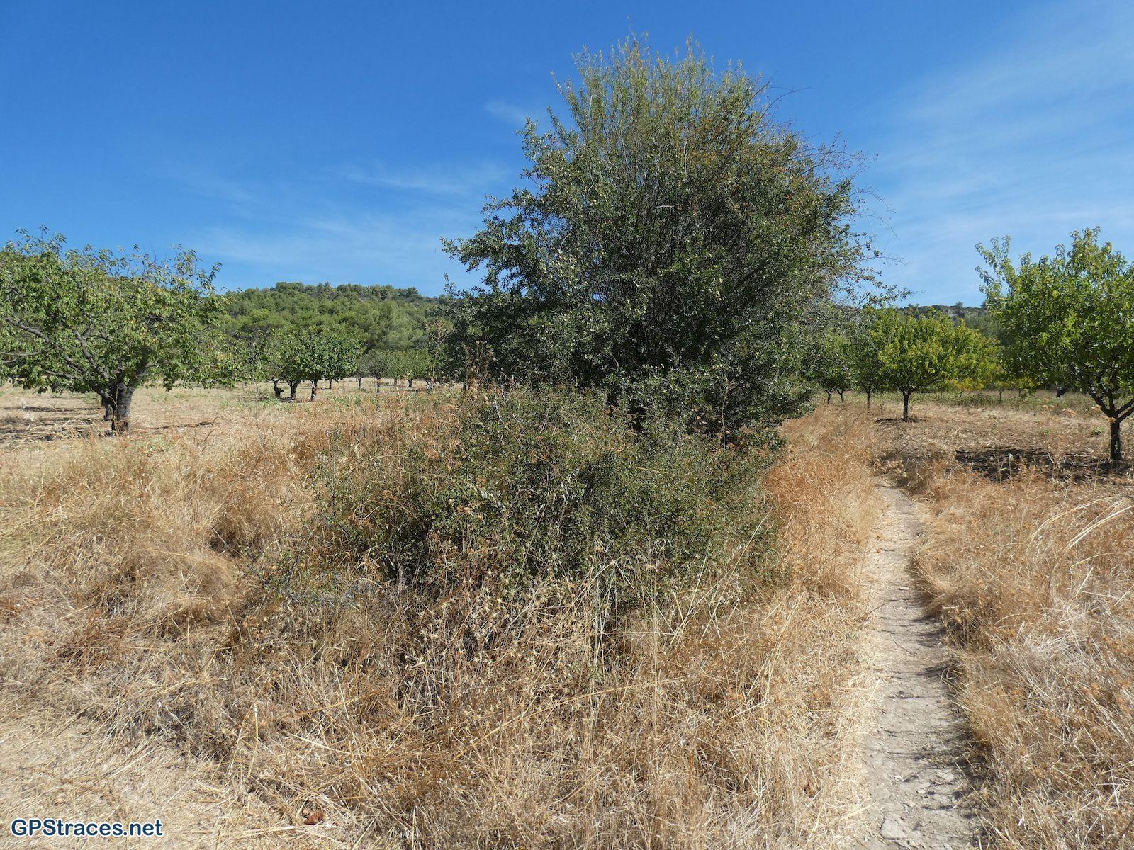 Vaucluse-Moulins de La Véroncle - Murs - Joucas–4