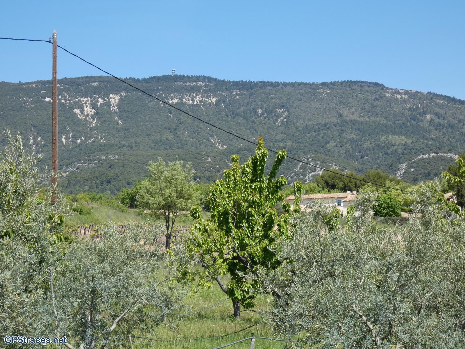 Le Mourre Nègre