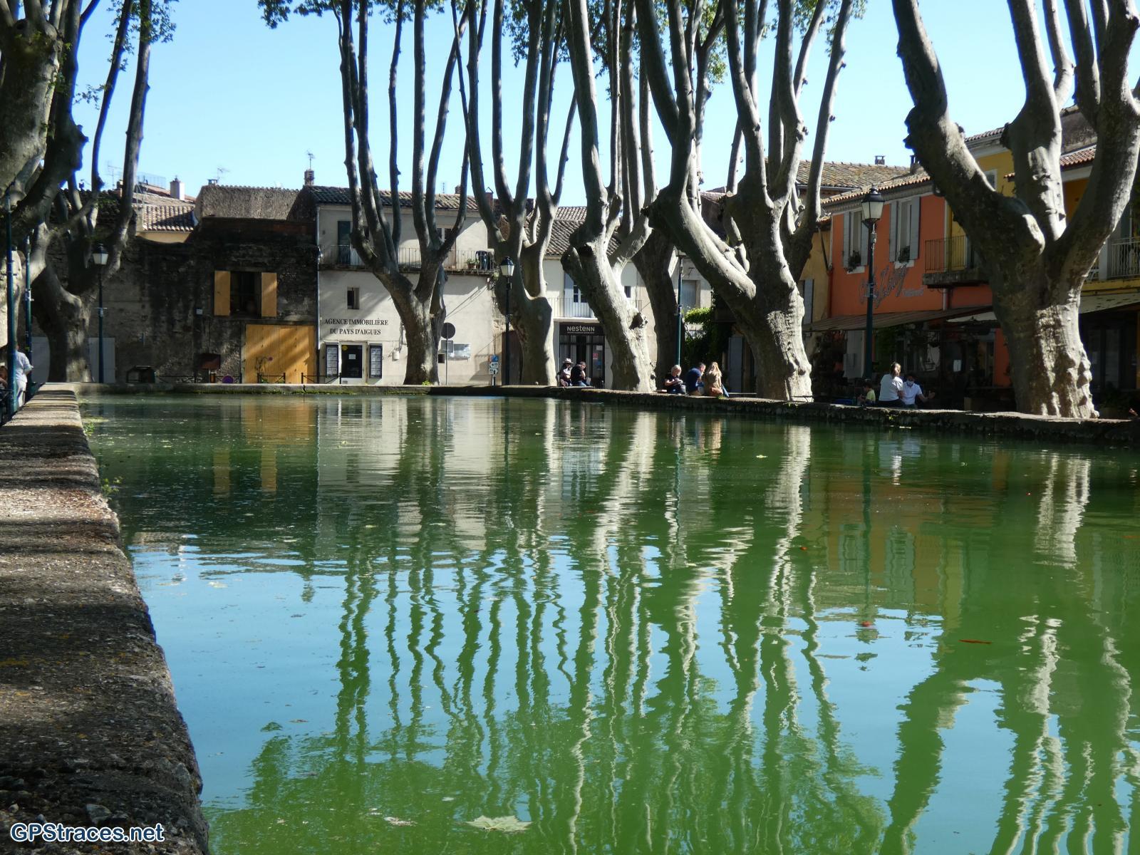 Le bassin de l'étang