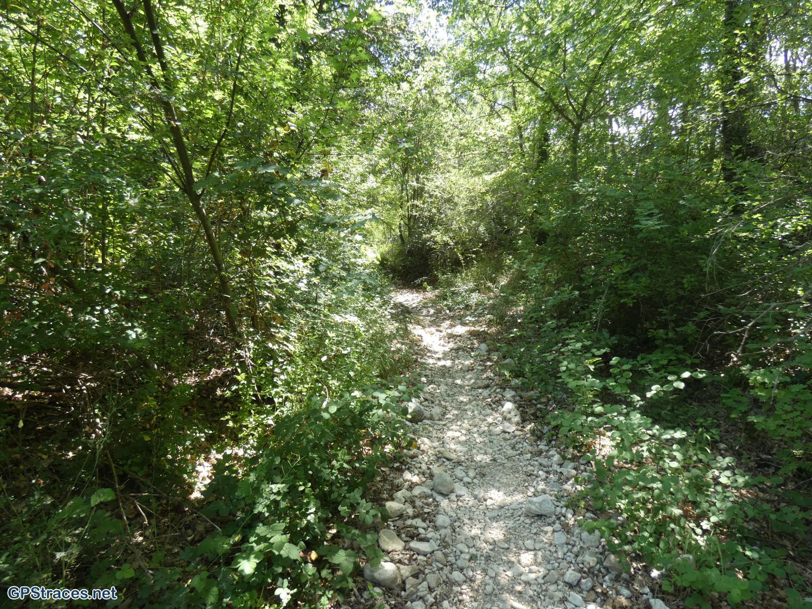 Vaucluse-La Nesque - Combe du Diable–0