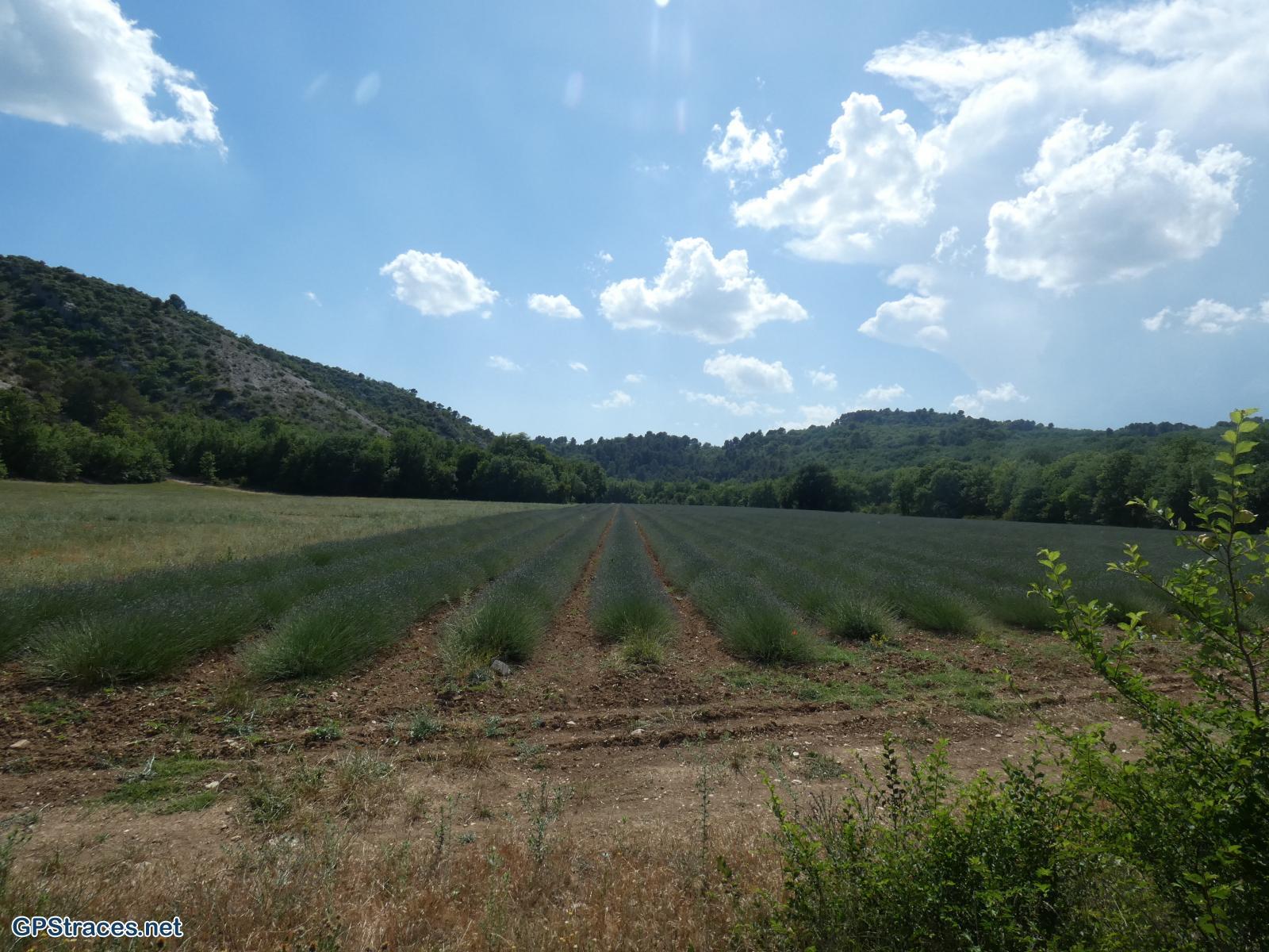 Vaucluse-La Nesque - Combe du Diable–9