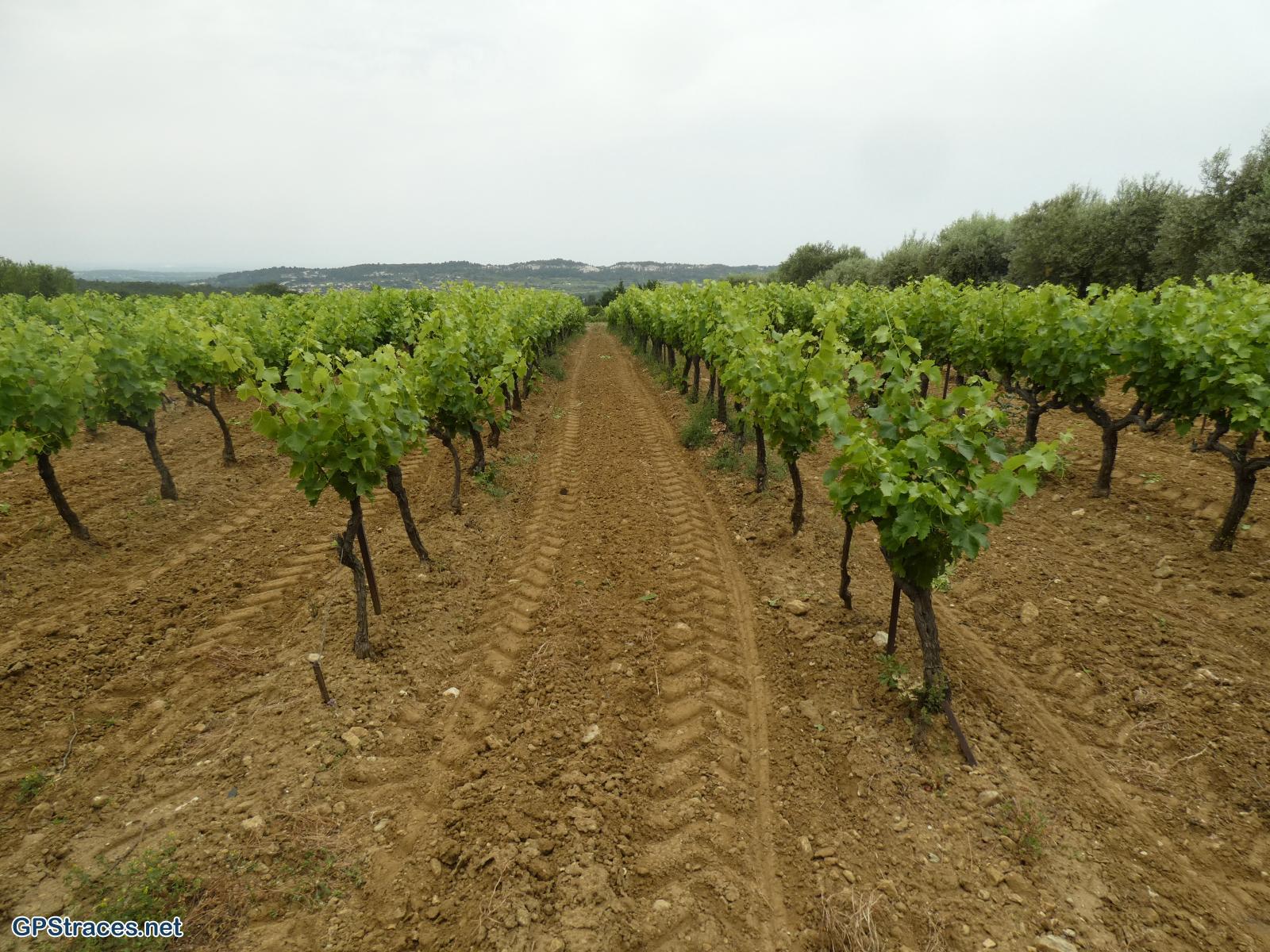 Vaucluse-Les ocres de Mormoiron–5