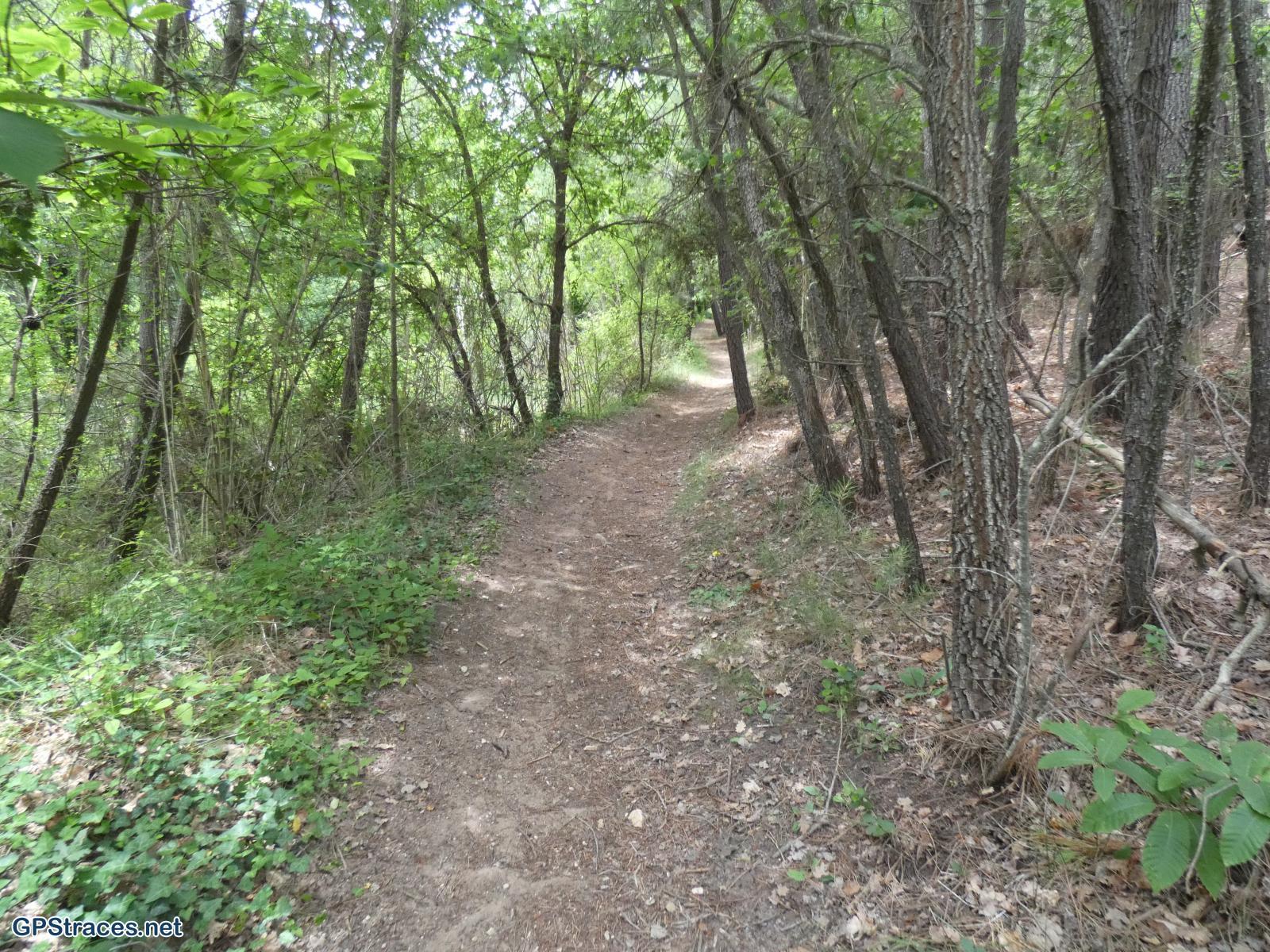 Vaucluse-Les ocres de Mormoiron–14