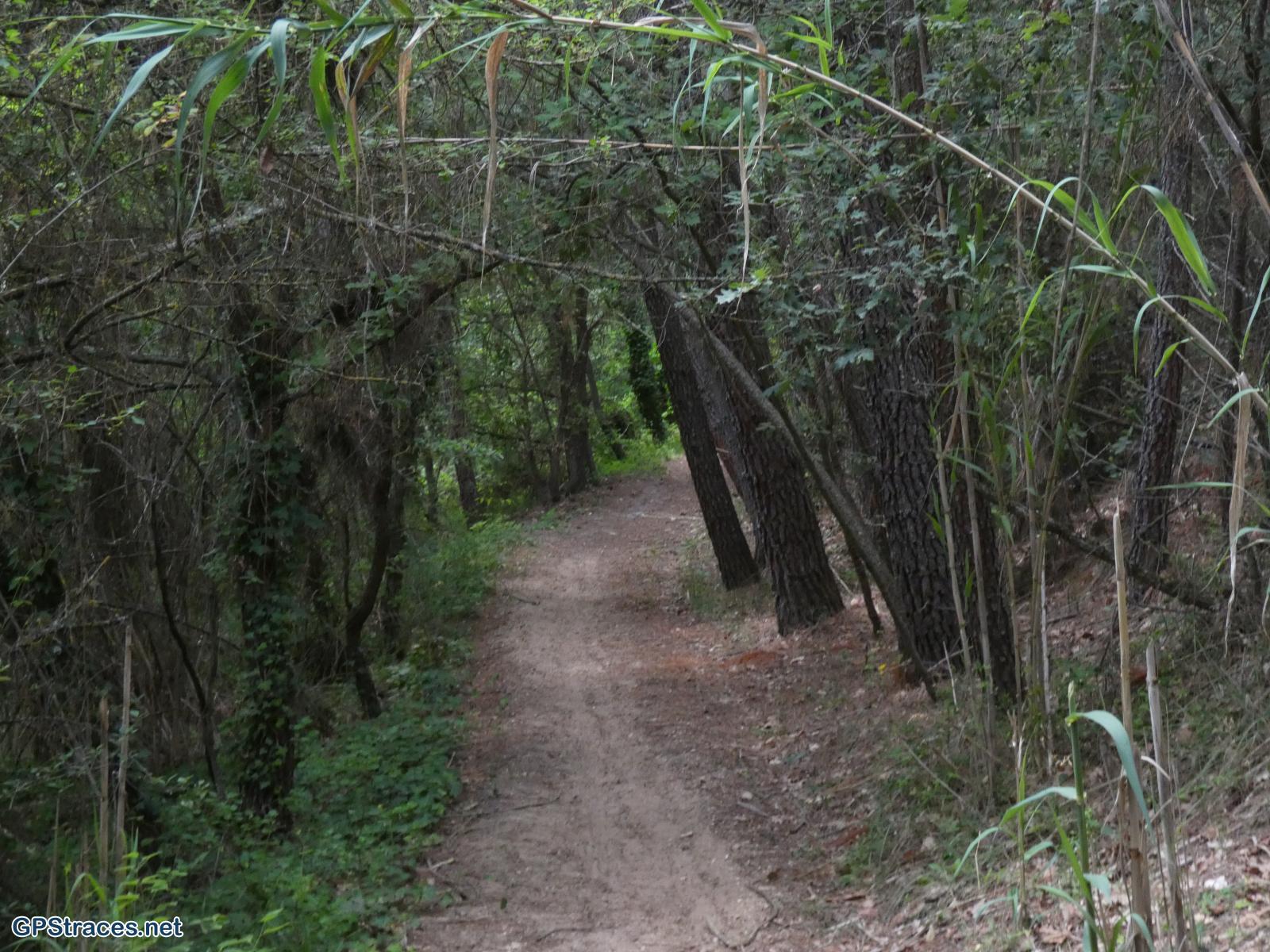 Vaucluse-Les ocres de Mormoiron–15