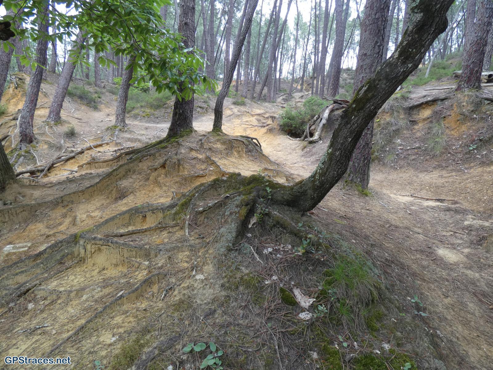 Vaucluse-Les ocres de Mormoiron–21