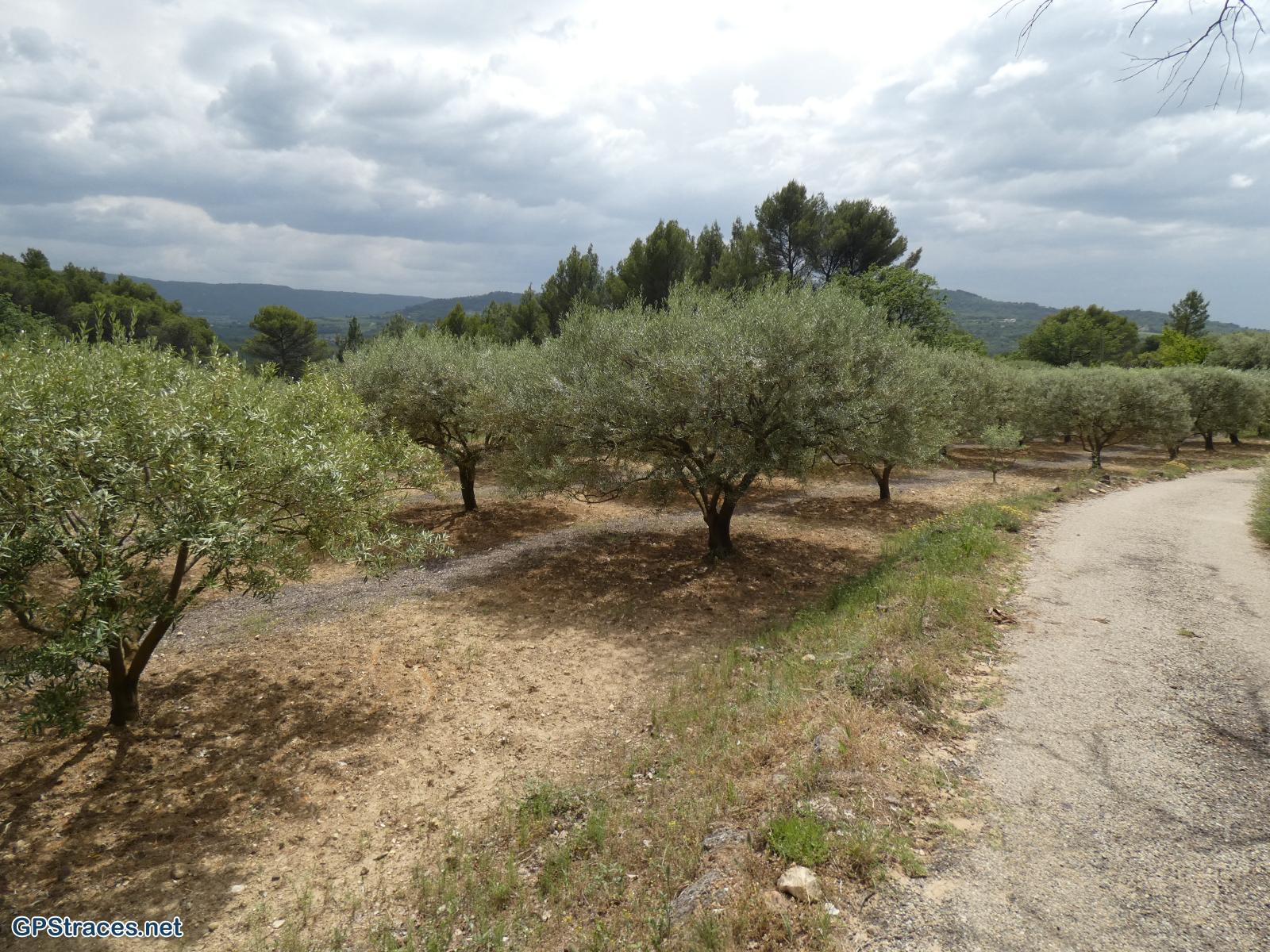 Vaucluse-Les ocres de Mormoiron–25