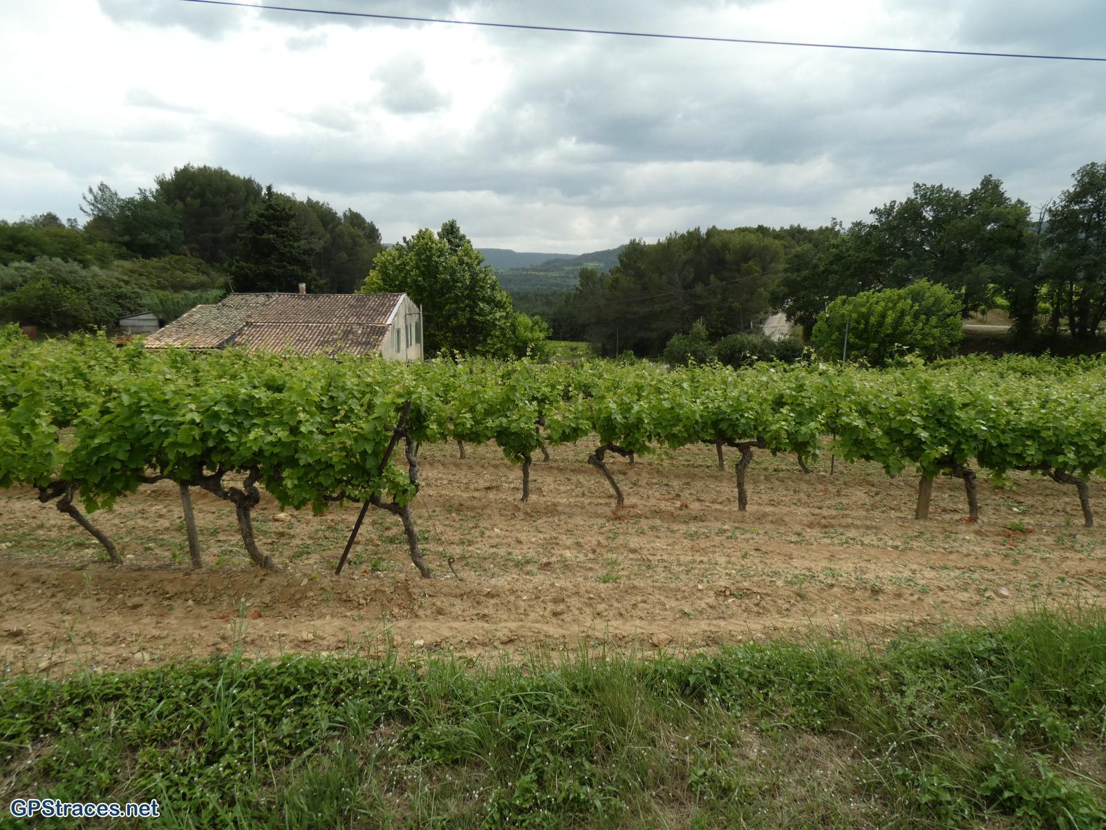 Vaucluse-Les ocres de Mormoiron–26