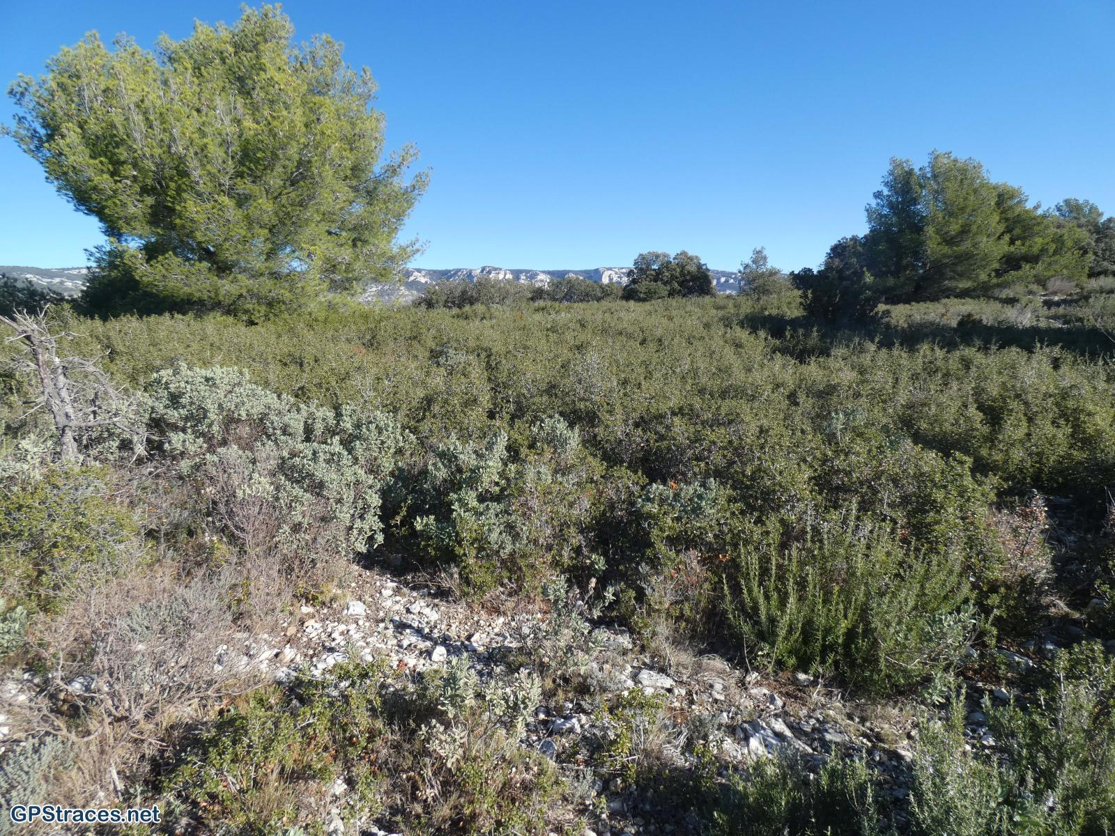 Vaucluse-Rioufret - Font de l'Orme–3