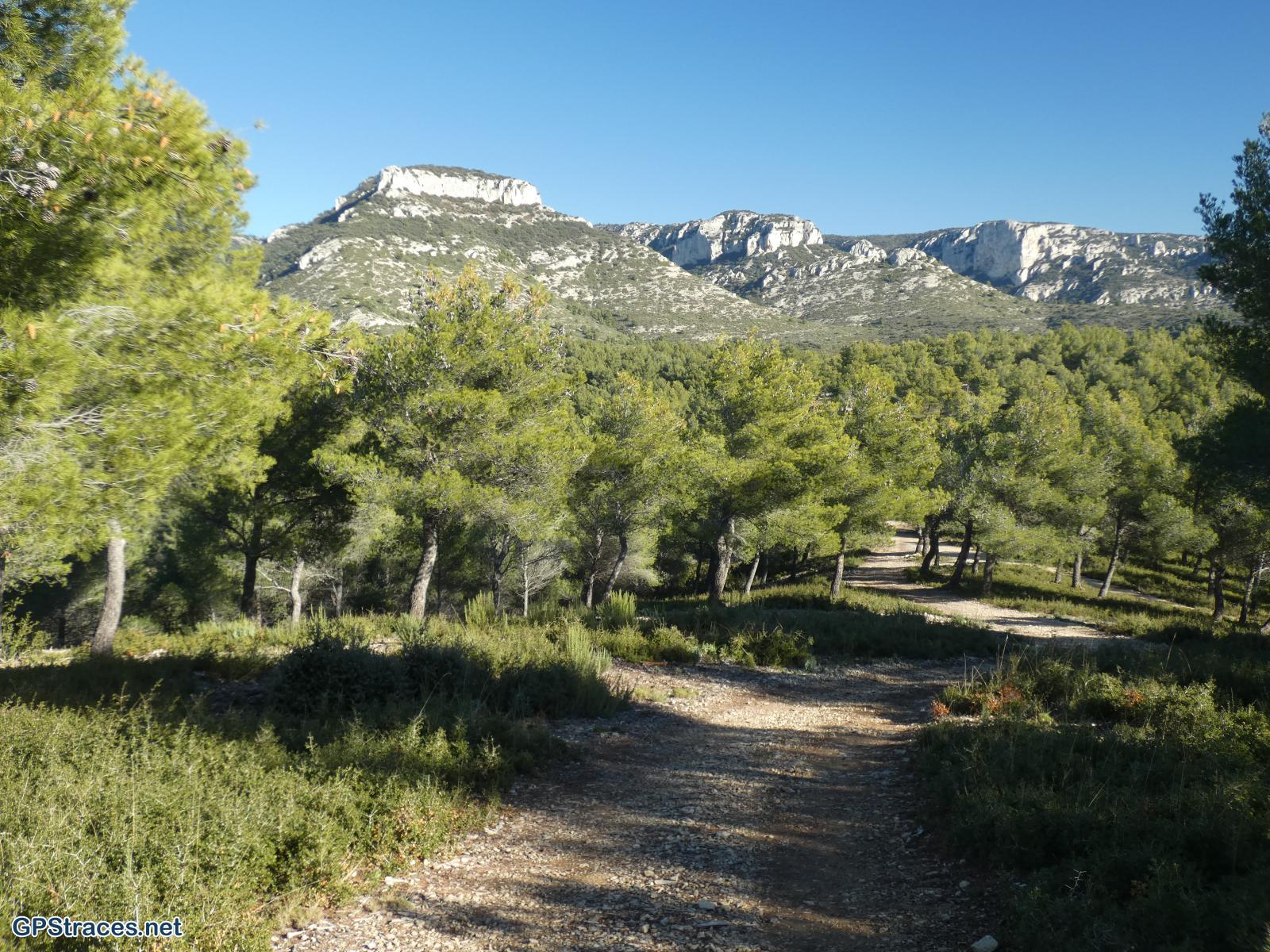 Vaucluse-Rioufret - Font de l'Orme–8