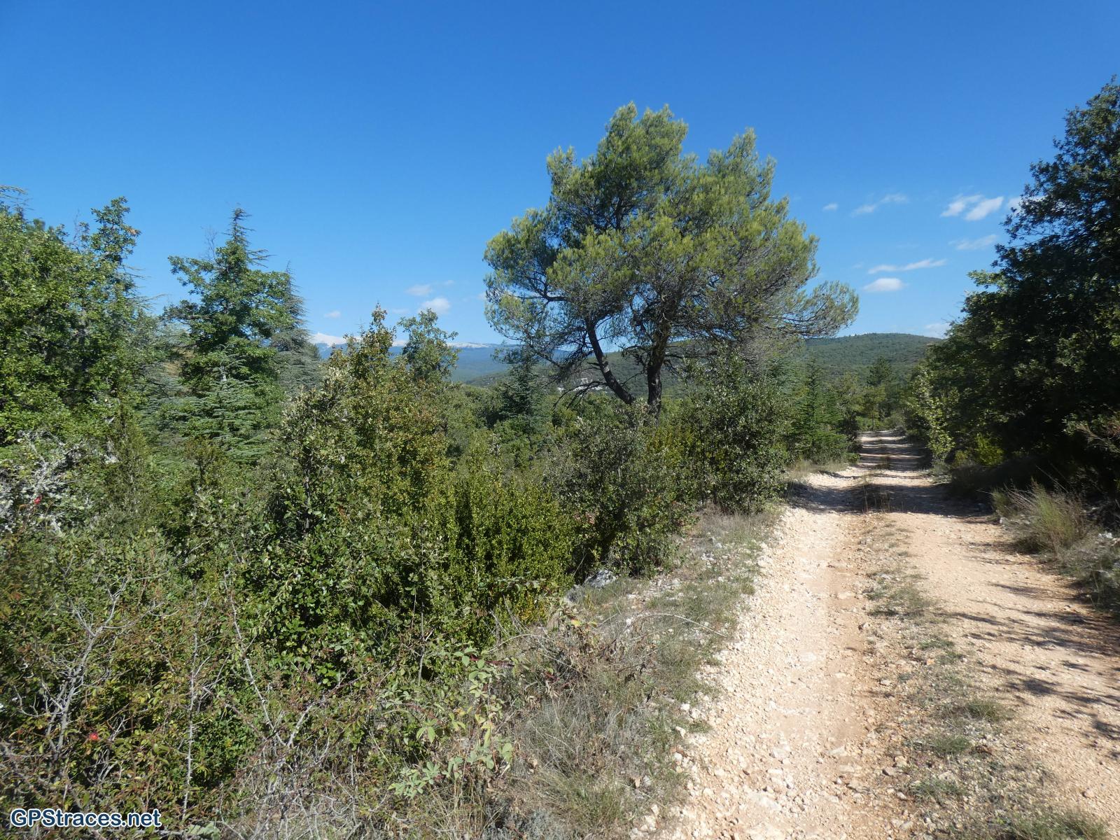 Vaucluse-Le Rocher du Cire et le Mur de la Peste par La Conque Verte–0