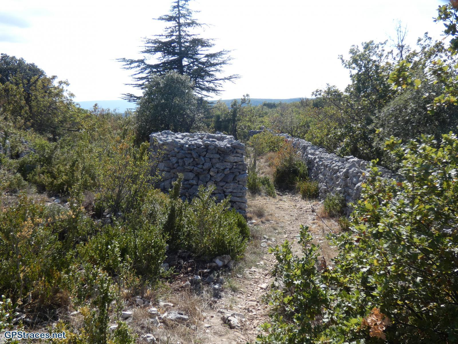Le Mur de la Peste