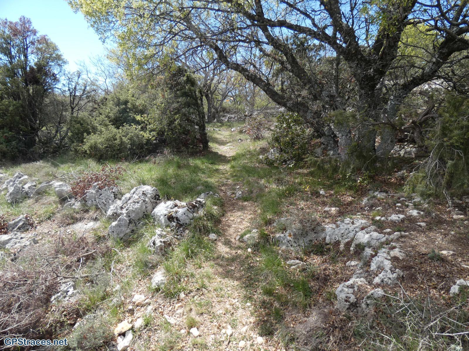 Vaucluse-Route des Indochinois - Javon - Saint-Hubert–12