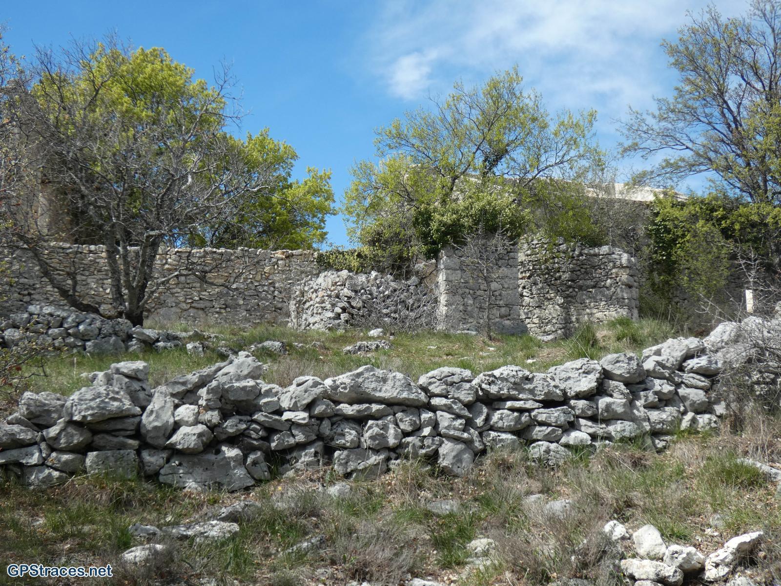 Lausemolan