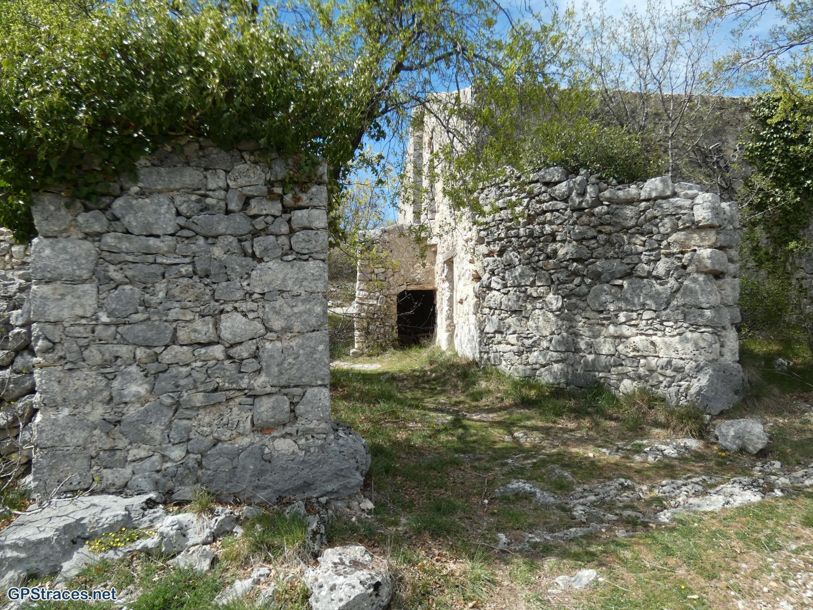 Lausemolan